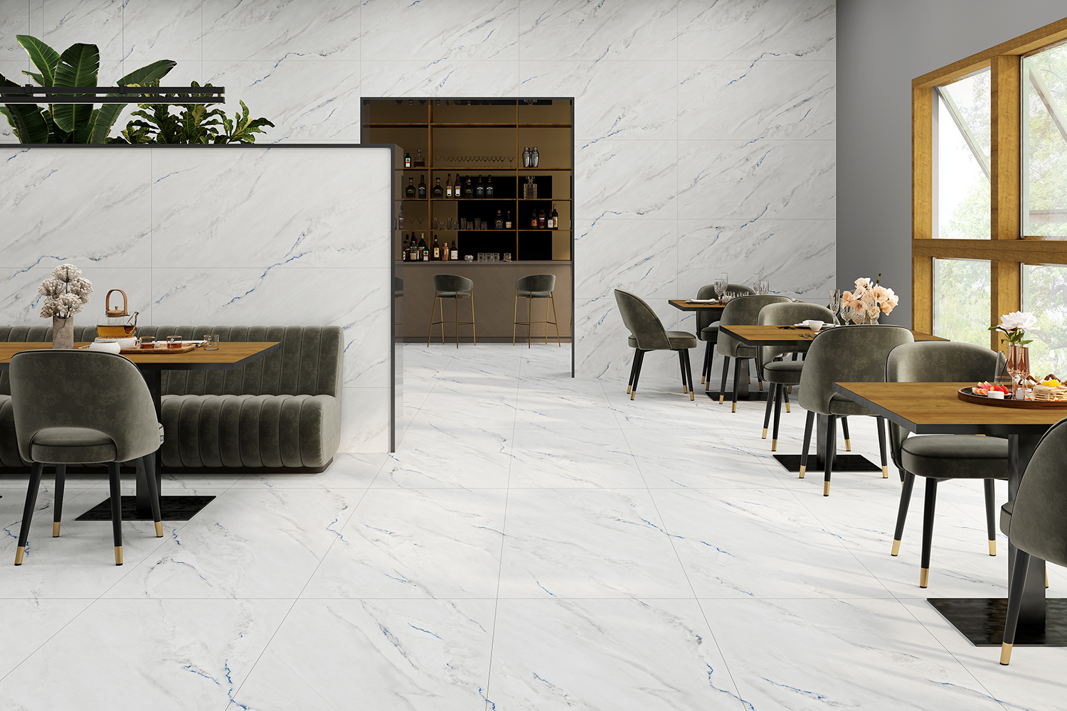 Nautilus Noble (Main Image)